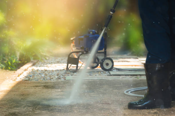 Animal Enclosure Cleaning in Rancho Mission Viejo, CA